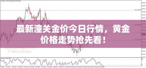 志在四方